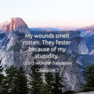 Picture 05 - Psalm 38:5 GW - My wounds smell rotten. They fester because of my - Bible Verse Picture