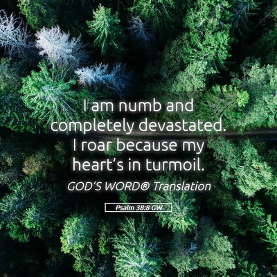 Picture 05 - Psalm 38:8 GW - I am numb and completely devastated. I roar - Bible Verse Picture