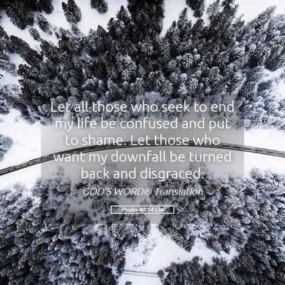 Picture 05 - Psalm 40:14 GW - Let all those who seek to end my life be confused - Bible Verse Picture