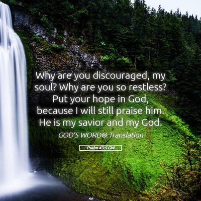 Picture 05 - Psalm 43:5 GW - Why are you discouraged, my soul? Why are you so - Bible Verse Picture