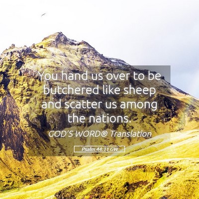 Picture 05 - Psalm 44:11 GW - You hand us over to be butchered like sheep and - Bible Verse Picture