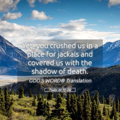 Picture 05 - Psalm 44:19 GW - Yet, you crushed us in a place for jackals and - Bible Verse Picture
