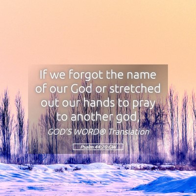 Picture 05 - Psalm 44:20 GW - If we forgot the name of our God or stretched out - Bible Verse Picture