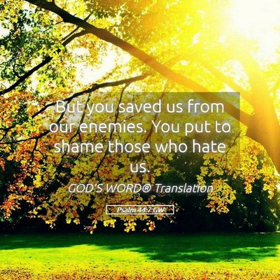 Picture 05 - Psalm 44:7 GW - But you saved us from our enemies. You put to - Bible Verse Picture