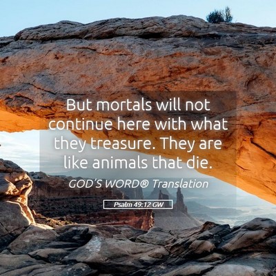 Picture 05 - Psalm 49:12 GW - But mortals will not continue here with what they - Bible Verse Picture