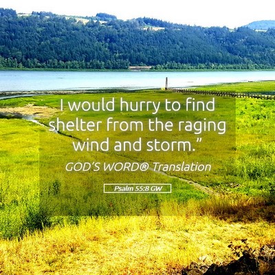 Picture 05 - Psalm 55:8 GW - I would hurry to find shelter from the raging - Bible Verse Picture