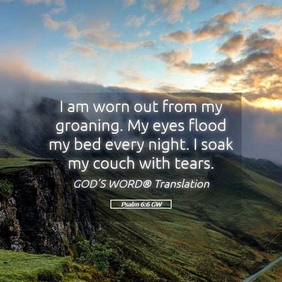 Picture 05 - Psalm 6:6 GW - I am worn out from my groaning. My eyes flood my - Bible Verse Picture