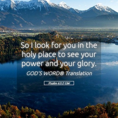 Picture 05 - Psalm 63:2 GW - So I look for you in the holy place to see your - Bible Verse Picture