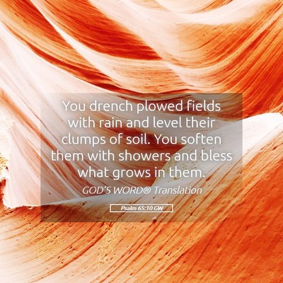 Picture 05 - Psalm 65:10 GW - You drench plowed fields with rain and level - Bible Verse Picture