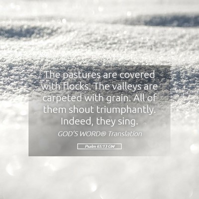 Picture 05 - Psalm 65:13 GW - The pastures are covered with flocks. The valleys - Bible Verse Picture