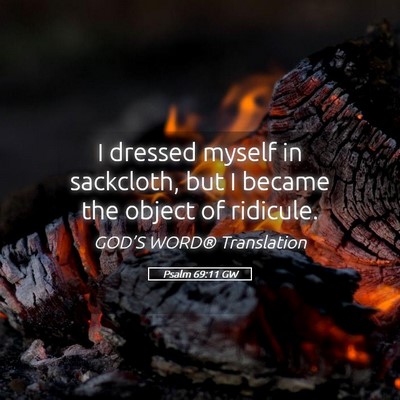 Picture 05 - Psalm 69:11 GW - I dressed myself in sackcloth, but I became the - Bible Verse Picture