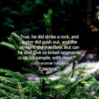 Picture 05 - Psalm 78:20 GW - True, he did strike a rock, and water did gush - Bible Verse Picture