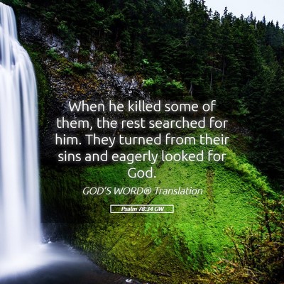 Picture 05 - Psalm 78:34 GW - When he killed some of them, the rest searched - Bible Verse Picture