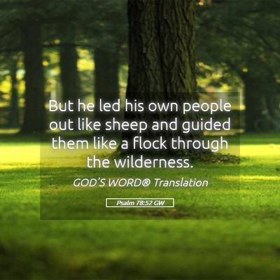 Picture 05 - Psalm 78:52 GW - But he led his own people out like sheep and - Bible Verse Picture