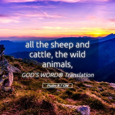 Picture 05 - Psalm 8:7 GW - all the sheep and cattle, the wild - Bible Verse Picture