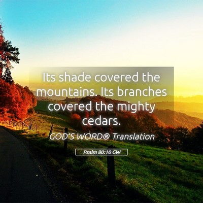 Picture 05 - Psalm 80:10 GW - Its shade covered the mountains. Its branches - Bible Verse Picture