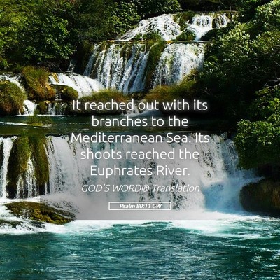 Picture 05 - Psalm 80:11 GW - It reached out with its branches to the - Bible Verse Picture