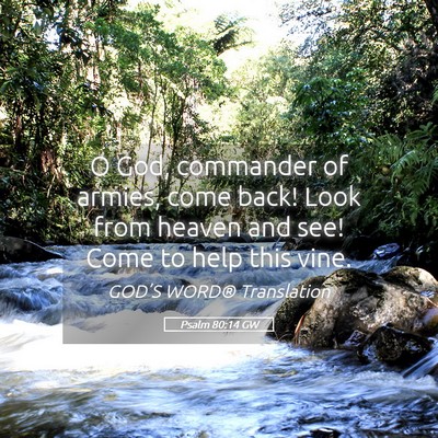 Picture 05 - Psalm 80:14 GW - O God, commander of armies, come back! Look from - Bible Verse Picture