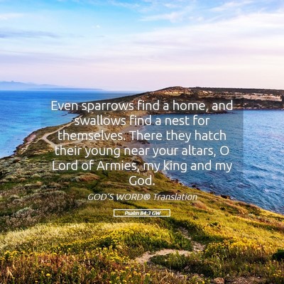 Picture 05 - Psalm 84:3 GW - Even sparrows find a home, and swallows find a - Bible Verse Picture