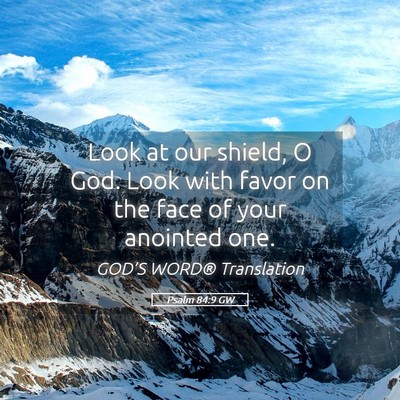 Picture 05 - Psalm 84:9 GW - Look at our shield, O God. Look with favor on the - Bible Verse Picture