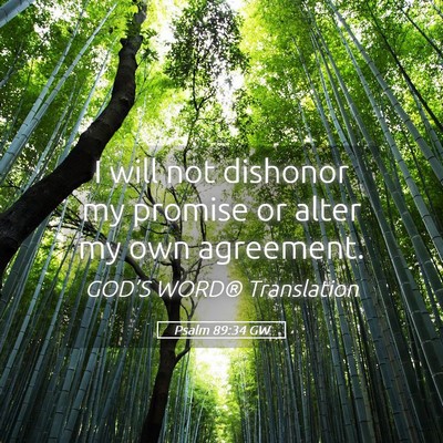 Picture 05 - Psalm 89:34 GW - I will not dishonor my promise or alter my own - Bible Verse Picture