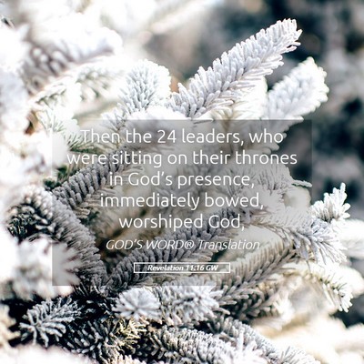 Picture 05 - Revelation 11:16 GW - Then the 24 leaders, who were sitting on their - Bible Verse Picture