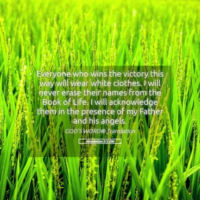 Picture 05 - Revelation 3:5 GW - Everyone who wins the victory this way will wear - Bible Verse Picture