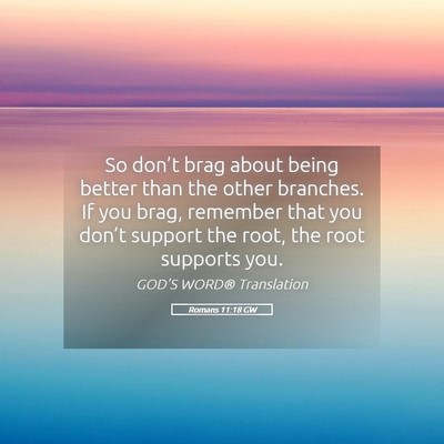 Picture 05 - Romans 11:18 GW - So don’t brag about being better than the other - Bible Verse Picture