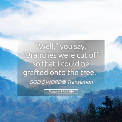 Picture 05 - Romans 11:19 GW - “Well,” you say, “Branches were cut off so - Bible Verse Picture