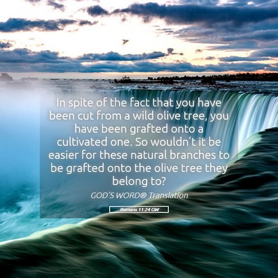 Picture 05 - Romans 11:24 GW - In spite of the fact that you have been cut from - Bible Verse Picture