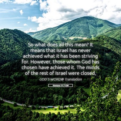 Picture 05 - Romans 11:7 GW - So what does all this mean? It means that Israel - Bible Verse Picture