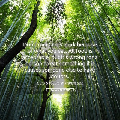 Picture 05 - Romans 14:20 GW - Don’t ruin God’s work because of what you - Bible Verse Picture