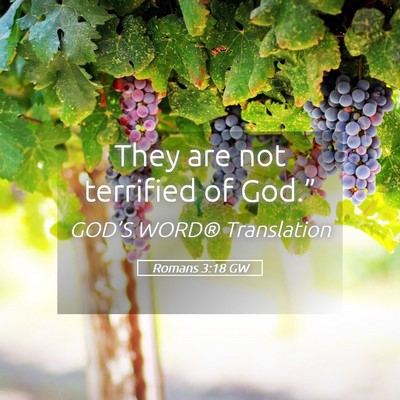 Picture 05 - Romans 3:18 GW - They are not terrified of - Bible Verse Picture