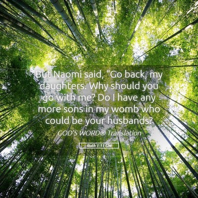 Picture 05 - Ruth 1:11 GW - But Naomi said, “Go back, my daughters. Why - Bible Verse Picture