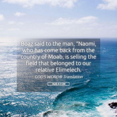 Picture 05 - Ruth 4:3 GW - Boaz said to the man, “Naomi, who has come back - Bible Verse Picture