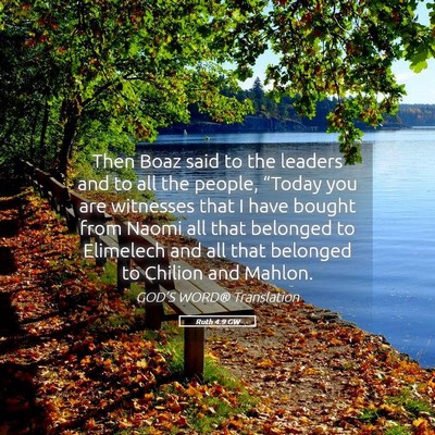 Picture 05 - Ruth 4:9 GW - Then Boaz said to the leaders and to all the - Bible Verse Picture