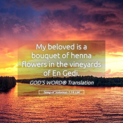 Picture 05 - Song of Solomon 1:14 GW - My beloved is a bouquet of henna flowers in the - Bible Verse Picture