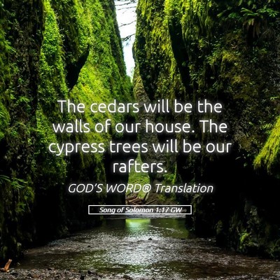Picture 05 - Song of Solomon 1:17 GW - The cedars will be the walls of our house. The - Bible Verse Picture