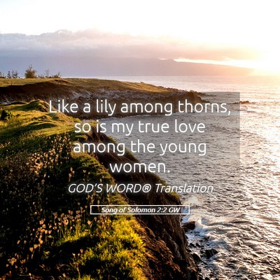 Picture 05 - Song of Solomon 2:2 GW - Like a lily among thorns, so is my true love - Bible Verse Picture