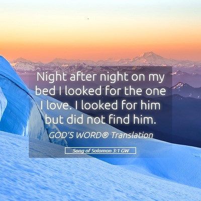 Picture 05 - Song of Solomon 3:1 GW - Night after night on my bed I looked for the one - Bible Verse Picture