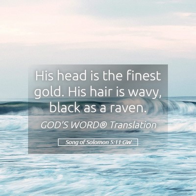 Picture 05 - Song of Solomon 5:11 GW - His head is the finest gold. His hair is wavy, - Bible Verse Picture