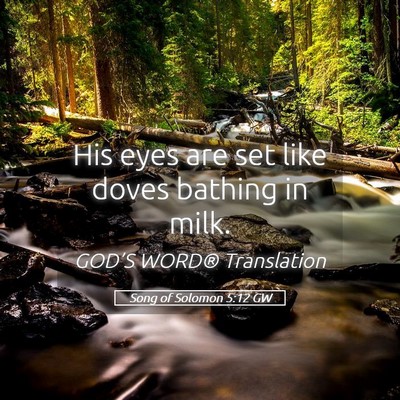 Picture 05 - Song of Solomon 5:12 GW - His eyes are set like doves bathing in - Bible Verse Picture