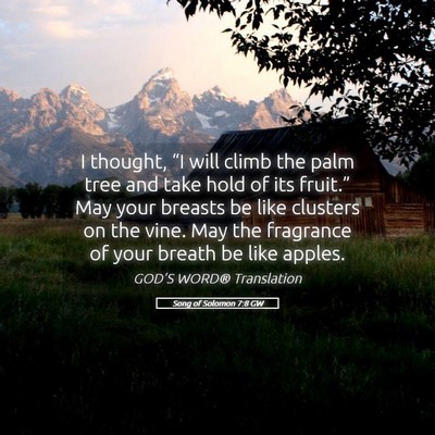 Picture 05 - Song of Solomon 7:8 GW - I thought, “I will climb the palm tree and take - Bible Verse Picture