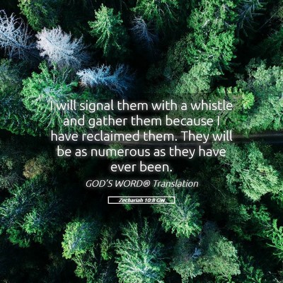 Picture 05 - Zechariah 10:8 GW - I will signal them with a whistle and gather them - Bible Verse Picture
