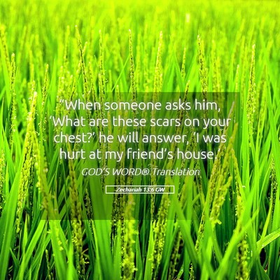 Picture 05 - Zechariah 13:6 GW - “When someone asks him, ‘What are these scars - Bible Verse Picture