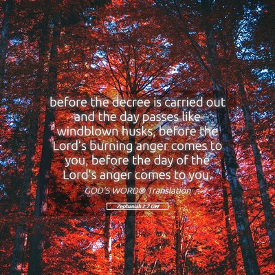 Picture 05 - Zephaniah 2:2 GW - before the decree is carried out and the day - Bible Verse Picture