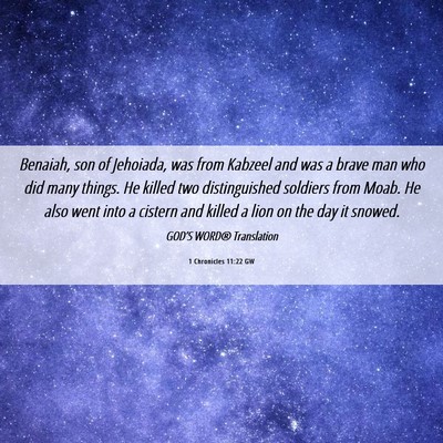 Picture 06 - 1 Chronicles 11:22 GW - Benaiah, son of Jehoiada, was from Kabzeel and - Bible Verse Picture