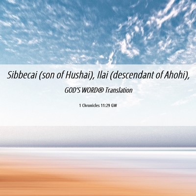 Picture 06 - 1 Chronicles 11:29 GW - Sibbecai (son of Hushai), Ilai (descendant of - Bible Verse Picture