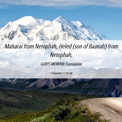 Picture 06 - 1 Chronicles 11:30 GW - Maharai from Netophah, Heled (son of Baanah) from - Bible Verse Picture