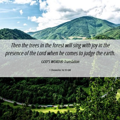 Picture 06 - 1 Chronicles 16:33 GW - Then the trees in the forest will sing with joy - Bible Verse Picture